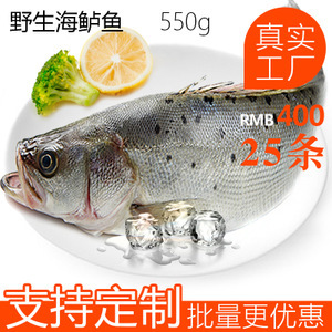 冷凍鱸魚(yú)市場(chǎng)分析 價(jià)格、圖片、批發(fā)采購(gòu)及供應(yīng)商渠道