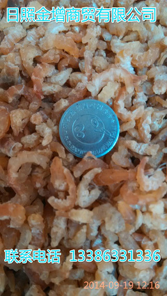 日照金增水產(chǎn) 冷凍帶魚(yú)塊段工廠直銷，優(yōu)質(zhì)批發(fā)首選