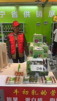 供銷優(yōu)勢(shì)聚合，農(nóng)特產(chǎn)品閃耀——宏偉區(qū)供銷社參展東北亞(營(yíng)口)農(nóng)副產(chǎn)品展銷會(huì)紀(jì)實(shí)