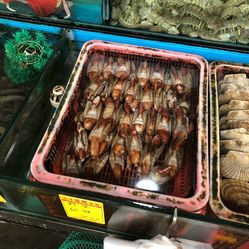 遠(yuǎn)洋水產(chǎn)凍品批發(fā)市場(chǎng) 現(xiàn)代水產(chǎn)品批發(fā)的核心樞紐